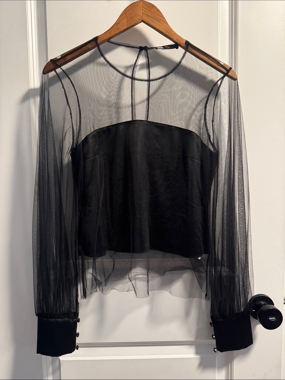 Zara Black Sheer Chiffon Long-Sleeve Blouse
